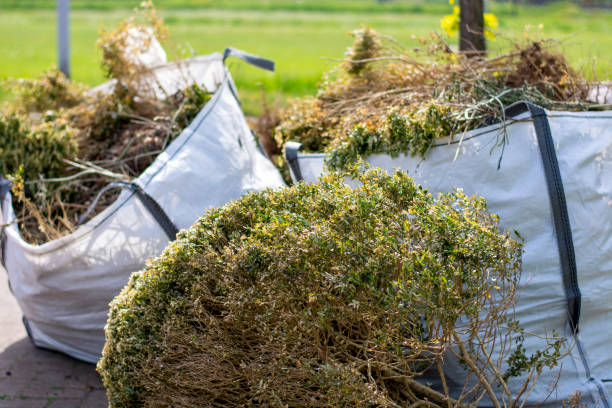 Best Shed Removal  in Lytle, TX